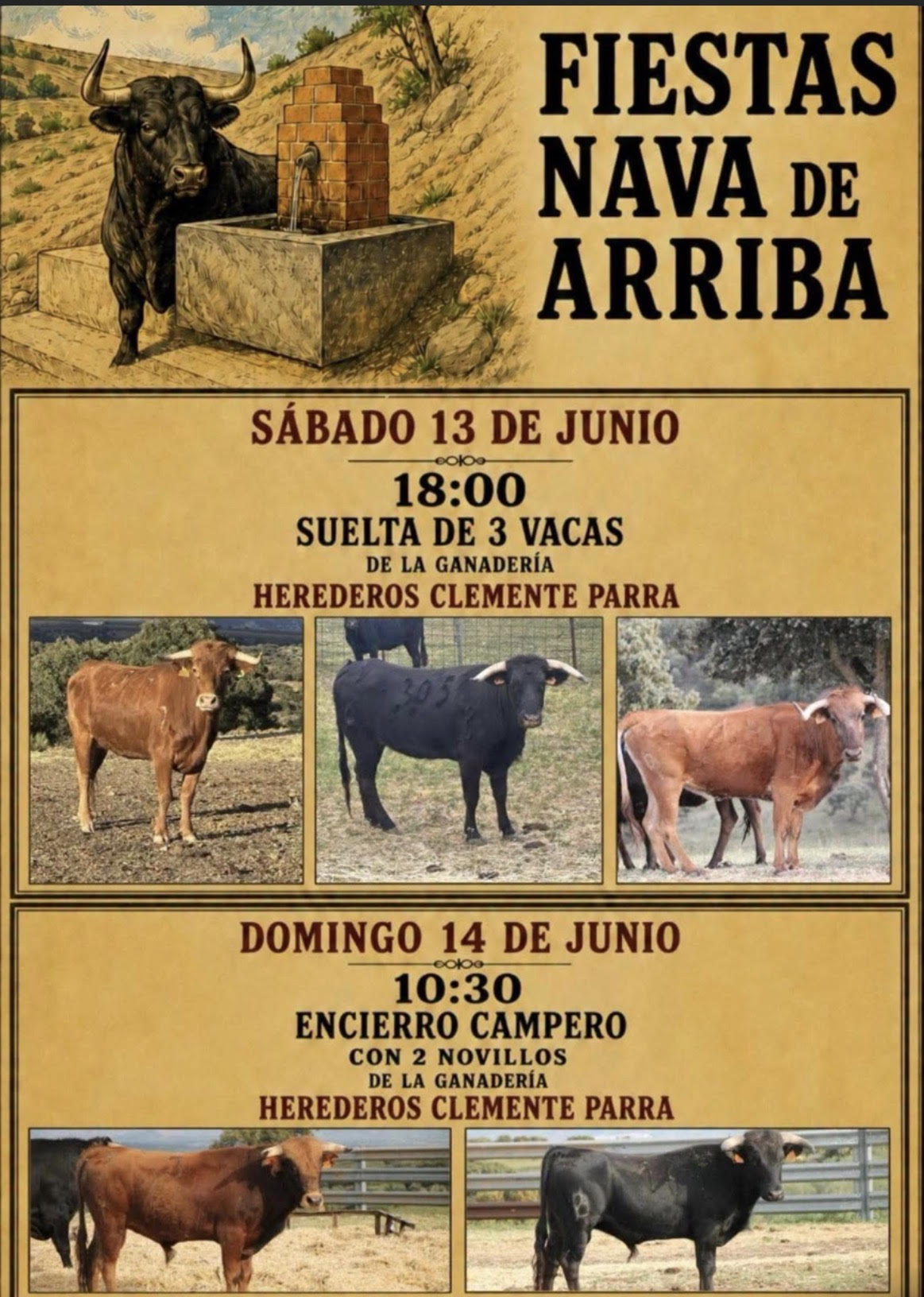 TOROS NAVAS DE ARRIBA 13 y 14 JUNIO 2026