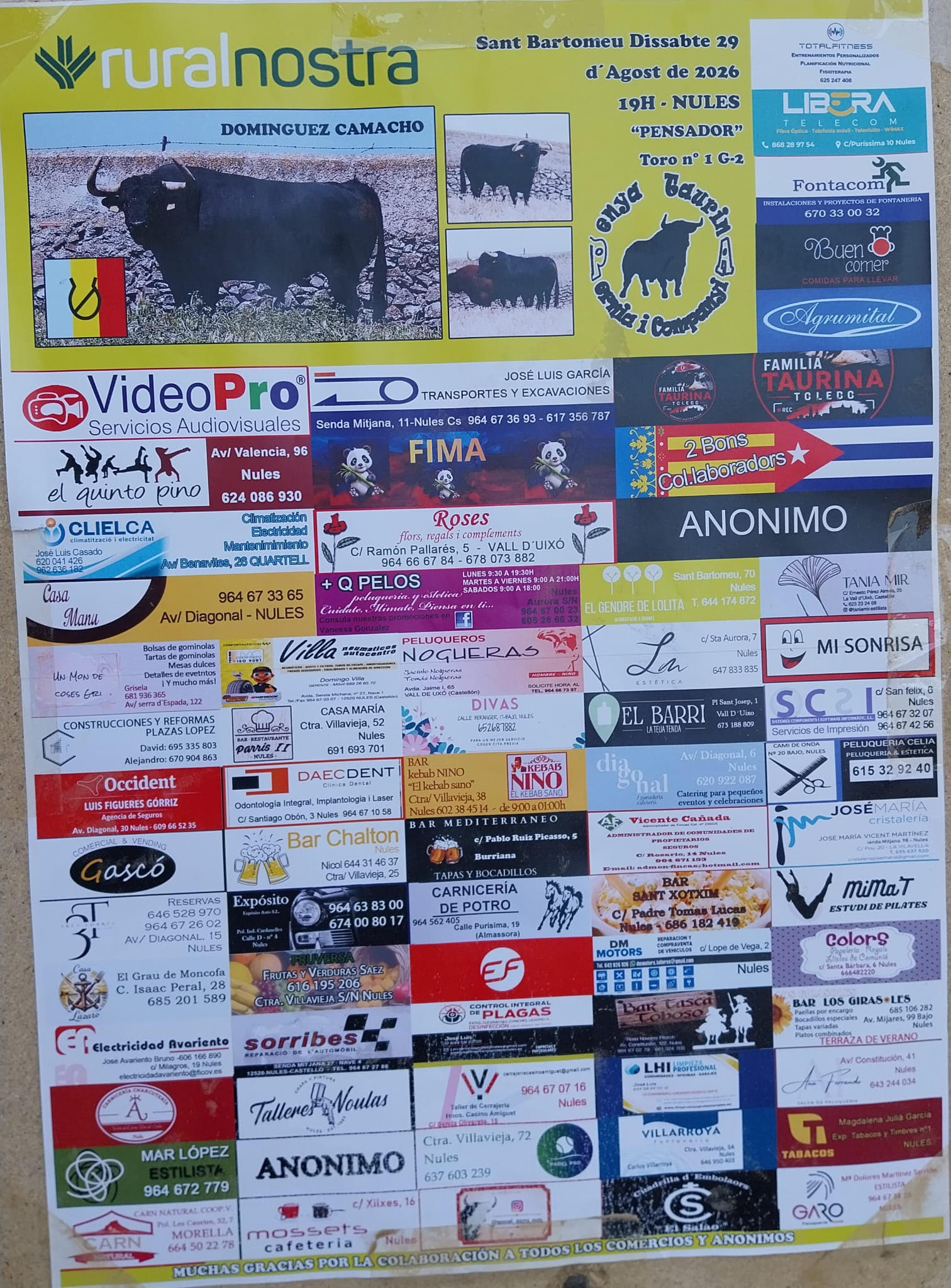 TOROS NULES 29 AGOSTO 2026