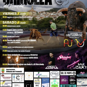 TOROS OHIHUELA 5 Y 6 DE JUNIO 2026