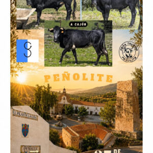 TOROS PEÑOLITE 27 JUNIO 2026