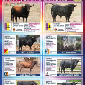 TOROS SANT JOAN DE MORA DEL 25 AL 27 DE JUNIO 2026