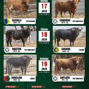TOROS ALDEANUEVA DE LA VERA 17 18 Y 19 DE JULIO 2026