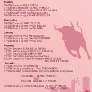 TOROS BENICARLO DEL 22 AL 30 DE AGOSTO 2026