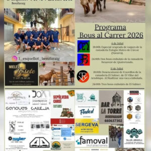 TOROS BENIFARAIG 11 JULIO 2026