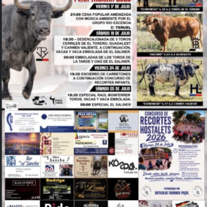 TOROS HOSTALETS PUCOL 25 DE JULIO 2026