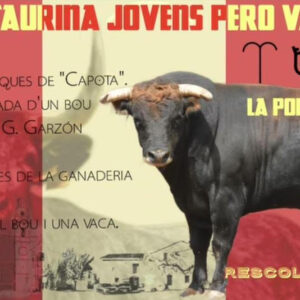 TOROS LA PUEBLA DE FARNALS 15 AGOSTO 2026