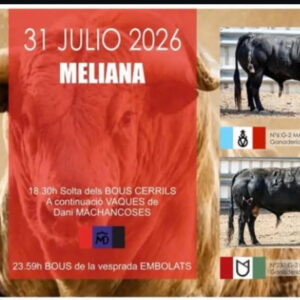 TOROS MELIANA 31 JULIO 2026