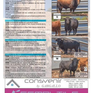 TOROS ONDA DEL 10 AL 19 DE JULIO 2026