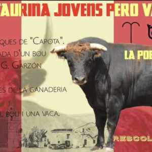 TOROS PUEBLA DE FARNALS 15 DE AGOSTO 2026
