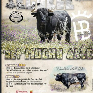 TOROS SEGORBE 30 AGOSTO 2026