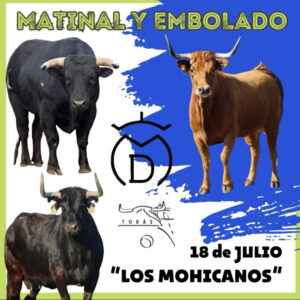 TOROS TORAS 18 JULIO 2026