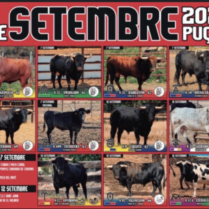 TOROS 7 DE SEPTIEMBRE PUÇOL 2026