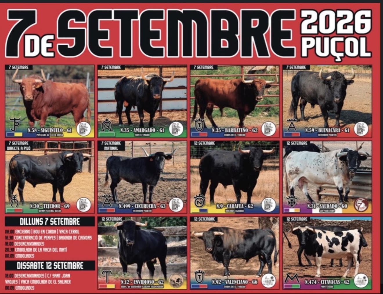 TOROS 7 DE SEPTIEMBRE PUÇOL 2026