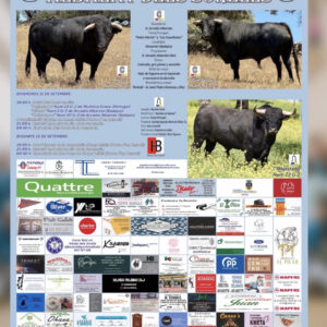 TOROS ALBALAT DELS SORELLS 11 Y 12 SEPTIEMBRE 2026
