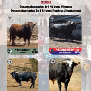 TOROS ALCASSER 26 AGOSTO 2026