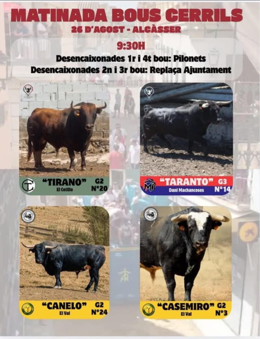 TOROS ALCASSER 26 AGOSTO 2026