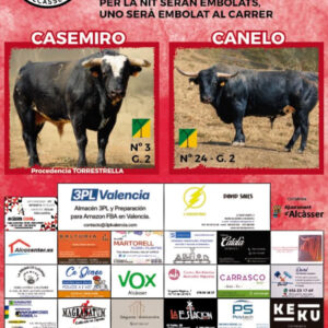 TOROS ALCASSER 26 AGOSTO 2026