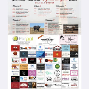 TOROS ALGIMIA DE ALFARA DEL 5 AL 9 DE AGOSTO 2026