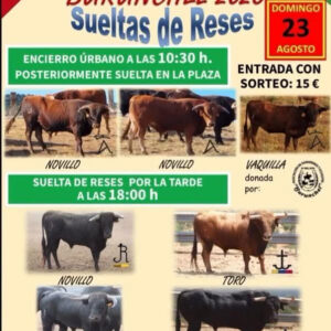 TOROS BORUNCHEL 23 AGOSTO 2026