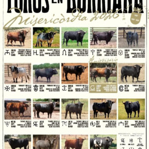 TOROS BURRIANA DEL 5 AL 12 DE SEPTIEMBRE 2026.