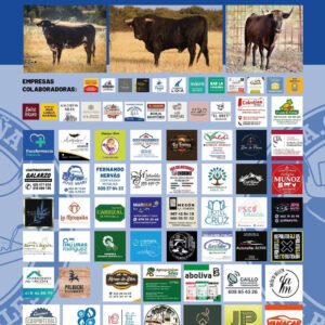 TOROS DE SILES 13 AGOSTO 2026