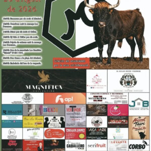 TOROS FAURA 20 DE AGOSTO 2026.
