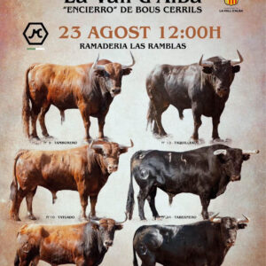 TOROS LA VALL D'ALBA 23 AGOSTO 2026