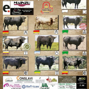 TOROS LA VILAVELLA DEL 10 AL 18 AGOSTO 2026
