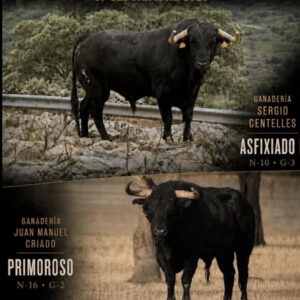 TOROS MASSAMAGRELL 19 SEPTIEMBRE 2026