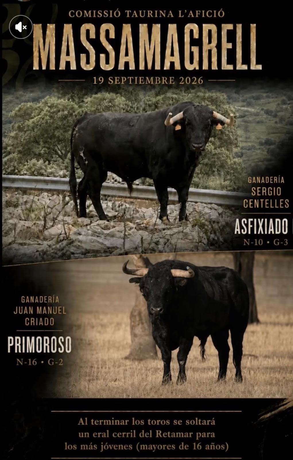 TOROS MASSAMAGRELL 19 SEPTIEMBRE 2026