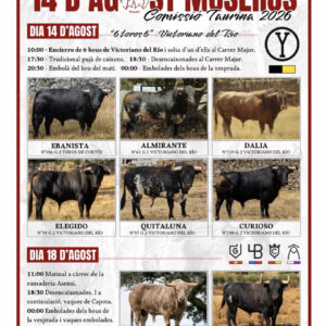 TOROS MUSEROS 14 AGOSTO 2026