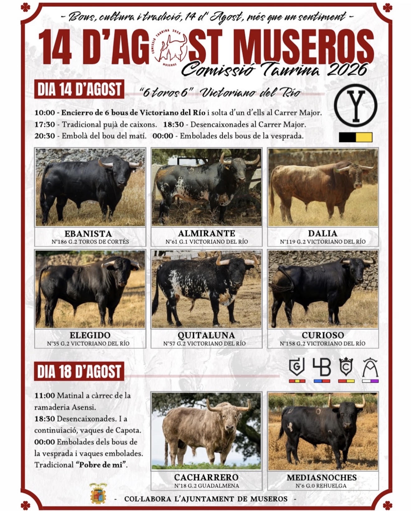 TOROS MUSEROS 14 AGOSTO 2026