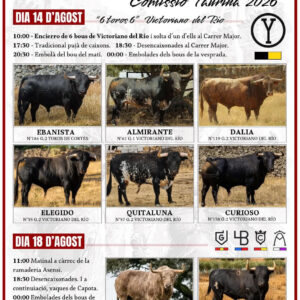 TOROS MUSEROS 18 AGOSTO 2026