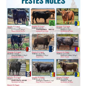 TOROS NULES DEL 28 Y 29 AGOSTO 2026.