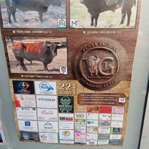 TOROS RAFELBUNYOL 22 AGOSTO 2026.