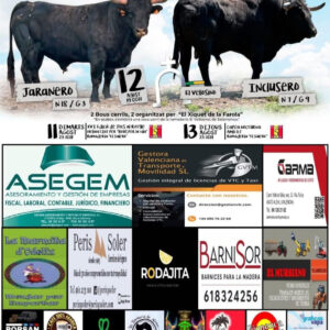 TOROS SILLA 11, 12 Y 13 DE AGOSTO 2026
