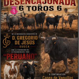 TOROS SILLA 12 DE AGOSTO 2026