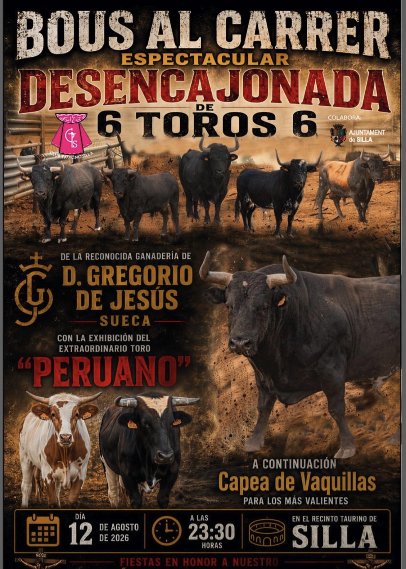 TOROS SILLA 12 DE AGOSTO 2026