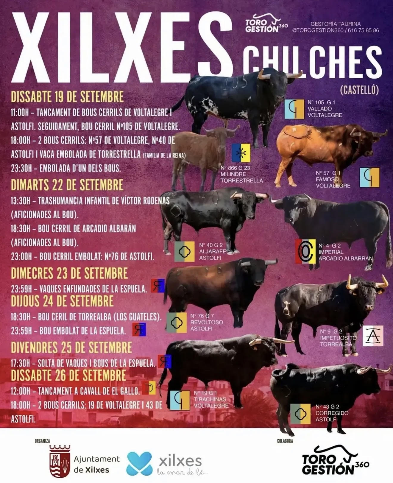 TOROS XILXES 22 23 24 Y 25 SEPTIEMBRE 2026