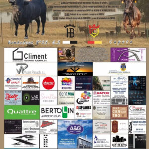 TOROS ALBALAT DELS SORELLS 17 OCTUBRE 2026