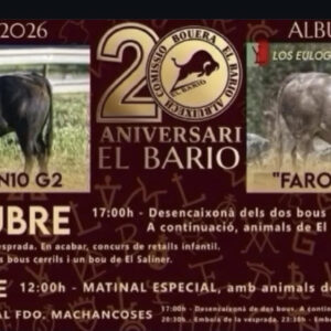 TOROS ALBUIXECH 10 OCTUBRE 2026