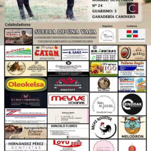 TOROS BOBADILLA DEL CAMPO 19 SEPTIEMBRE 2026