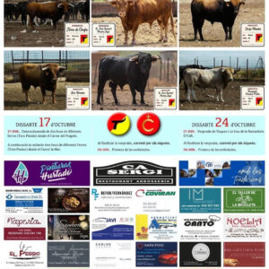 TOROS EL PUIG 17 OCTUBRE 2026