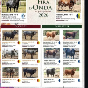 TOROS FIRA DE ONDA 24 DE OCTUBRE 2026