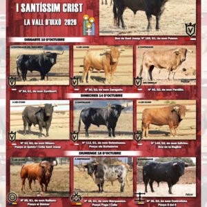 TOROS LA VALL DE UIXO 14 DE OCTUBRE 2026