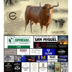 TOROS LLIRIA 9 OCTUBRE 2026
