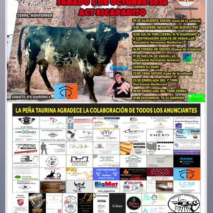 TOROS MANZANERA 3 OCTUBRE 2026