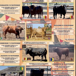 TOROS MONCOFA DEL 2 AL 12 DE OCTUBRE 2026