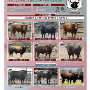 TOROS MUSEROS 12 DE OCTUBRE 2026