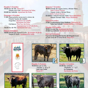 TOROS NULES 3 Y 4 DE OCTUBRE 2026